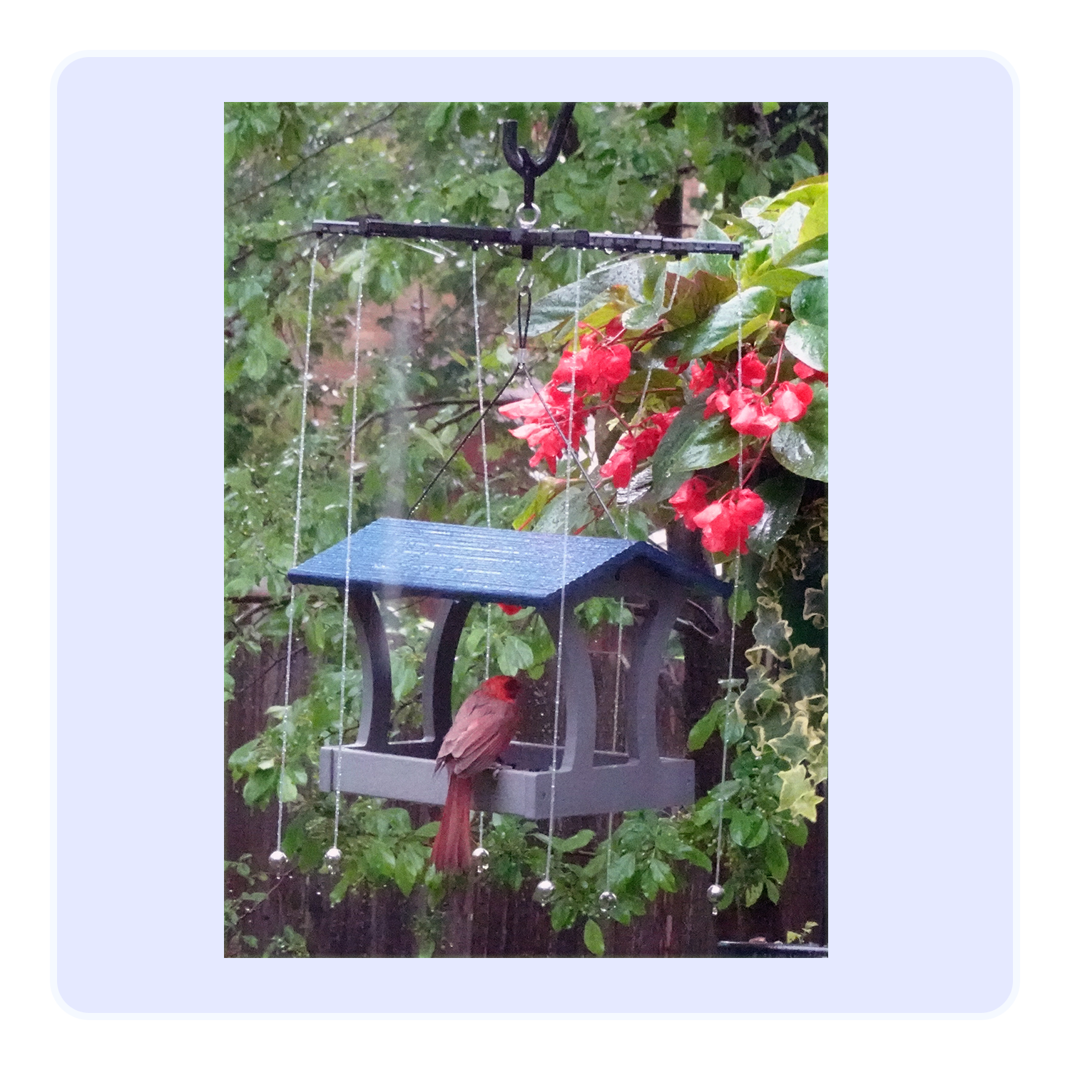 Sparrow-B-Gone! for Small/Medium Hanging Rectangular Platform Feeders