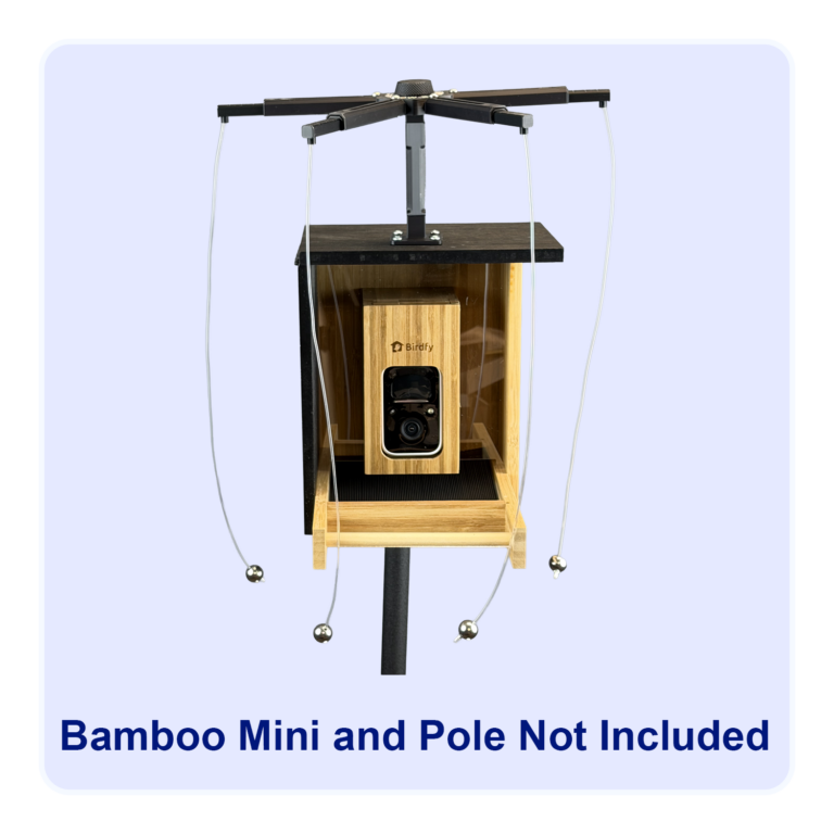 Sparrow-B-Gone! for Birdfy (tm) Bamboo / Bamboo Mini Camera Feeder
