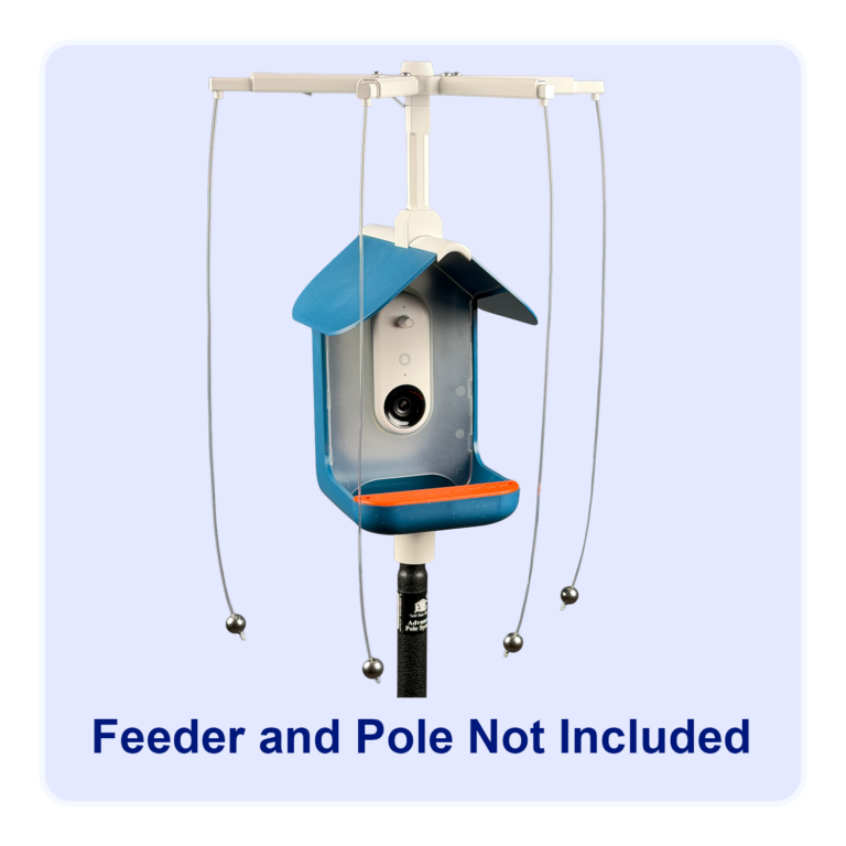 Sparrow-B-Gone! for Post/Bottom Mounted BirdBuddy (tm) Camera Feeder with Solar Roof