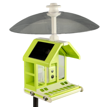 A smart birdfeeder covered by a weather guard