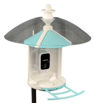 A smart camera bird feeder covered by a weather dome