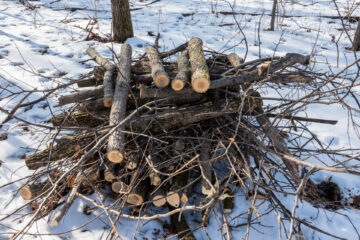 A neatly piled stack of brush