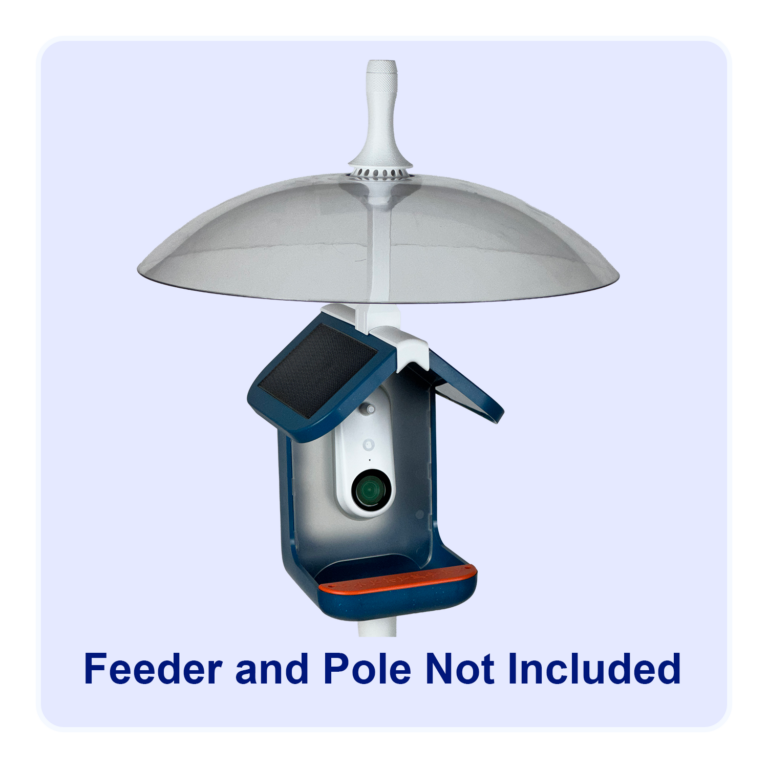 Bird Buddy Solar smart camera bird feeder protected with a rain dome