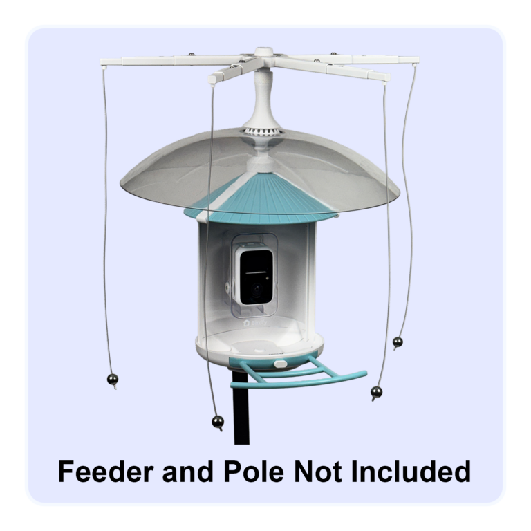 Combined Rain-B-Gone and Sparrow-B-Gone protecting a Birdfy 1 smart feeder camera