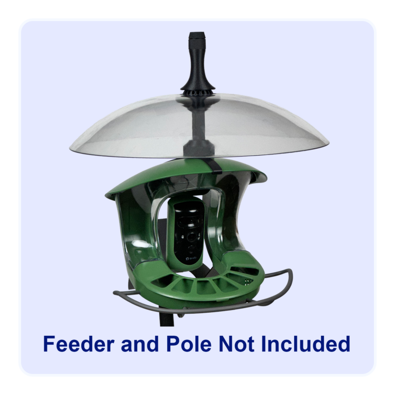 The Birdfy 2 smart camera bird feeder with a rain dome protecting it