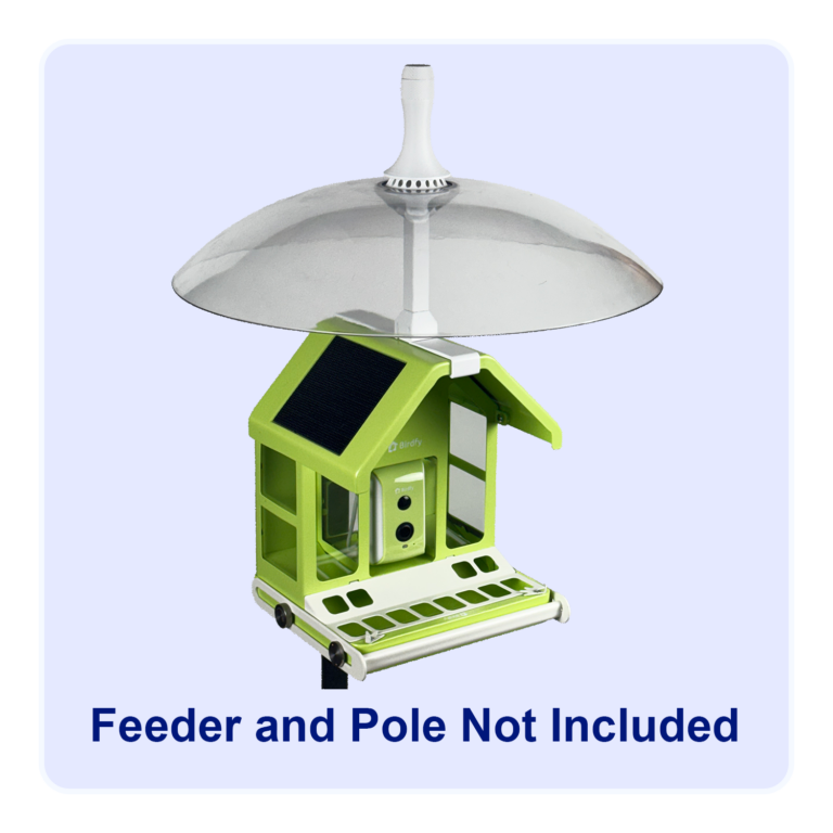 The Birdfy Metal smart camera bird feeder protected with a weather dome