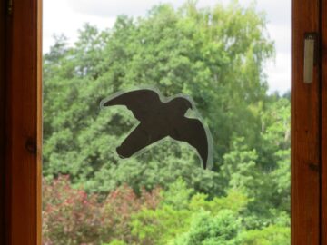 A window decal in a bird silhouette