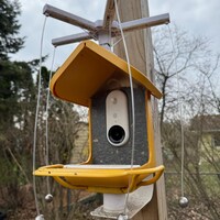 Smart camera feeder with a Sparrow-B-Gone on top