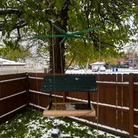 Birdfeeder with Sparrow B Gone