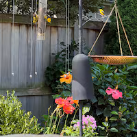 Feeder with Sparrow-B-Gone