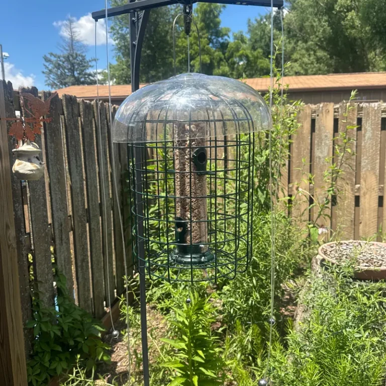 A caged tube bird feeder with a rain dome and a Sparrow-B-Gone