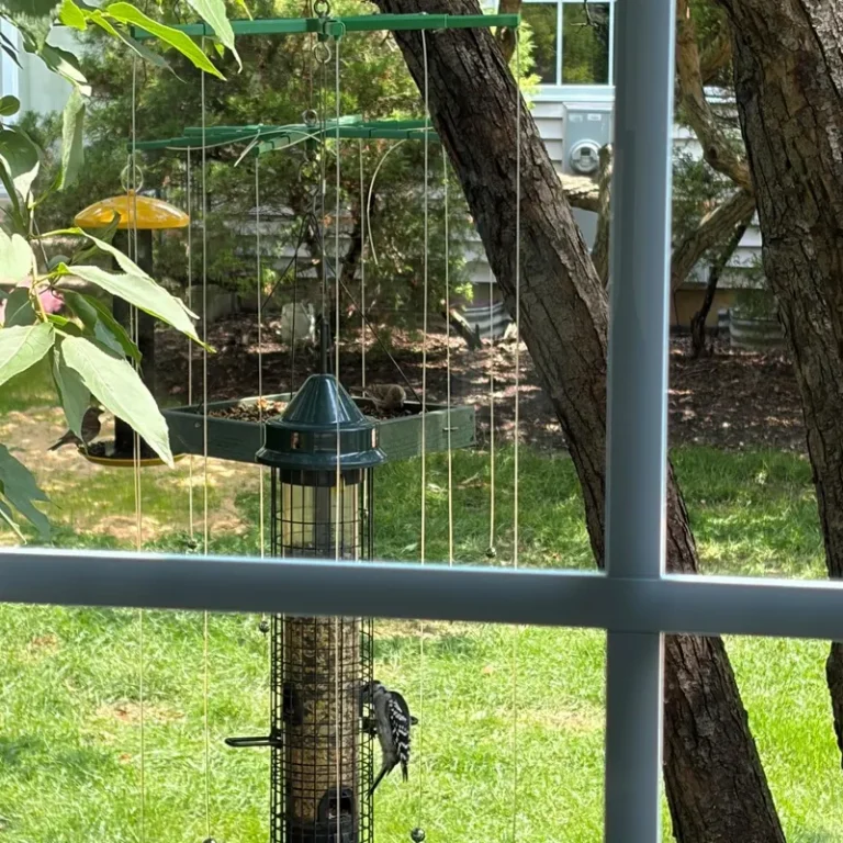 A tube style bird feeder with a Sparrow-B-Gone