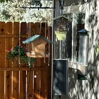 Bird Feeder protected with a Sparrow-B-Gone