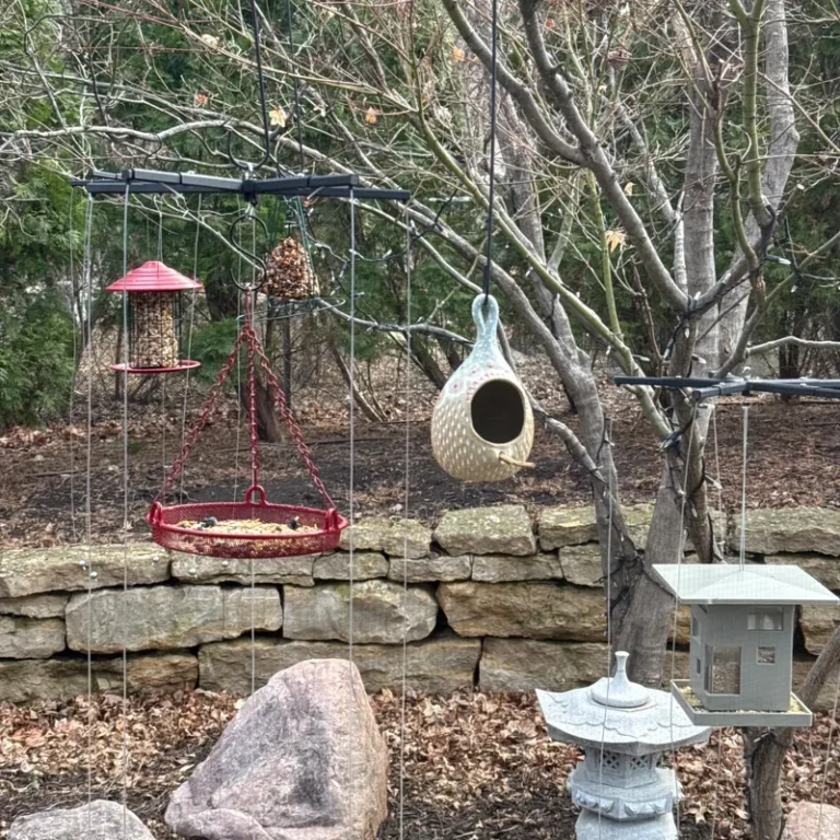 Bird feeders with Sparrow-B-Gone